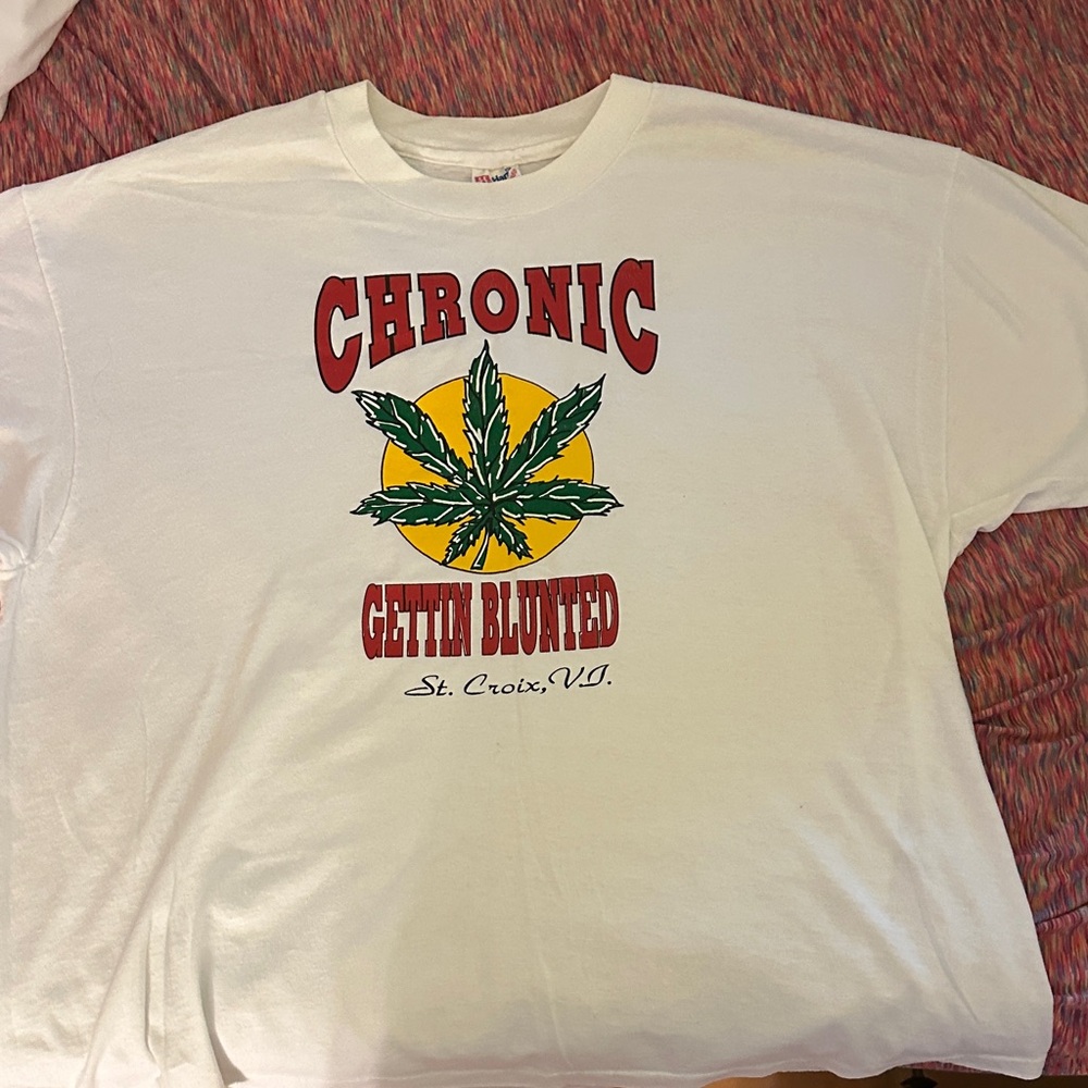 Hanes White Tee with Red and Green Graphic